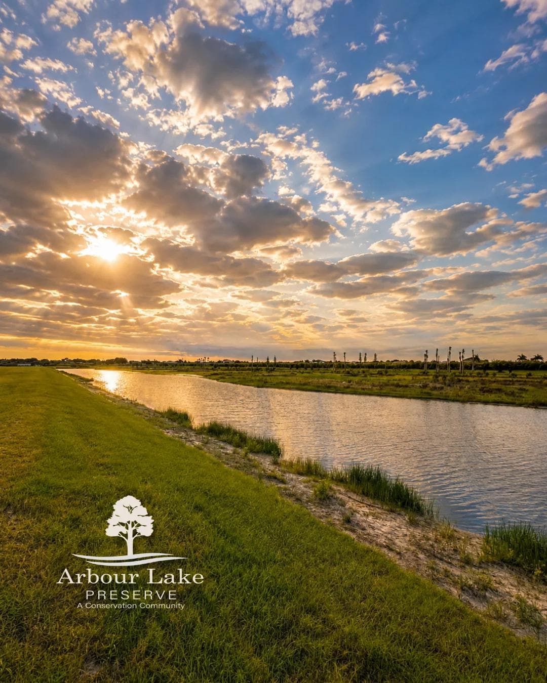 Sunset over the lake and protected wetlands at Arbour Lake Preserve in Sarasota, Florida